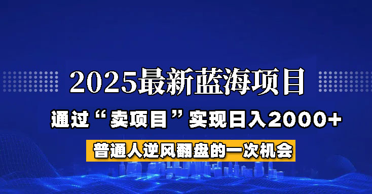2025年蓝海项目，如何通过“网创项目”日入2000+-微氪项目圈