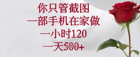 你只管截图，一部手机在家做，一小时120.一天5张【揭秘】-微氪项目圈