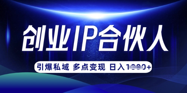 云帆·创业ip合伙人打造3.0，从0到1教你做网创，实现月入过W-微氪项目圈