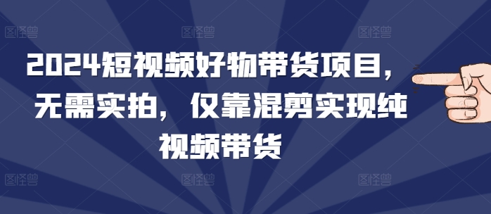 2024短视频好物带货项目，无需实拍，仅靠混剪实现纯视频带货-微氪项目圈