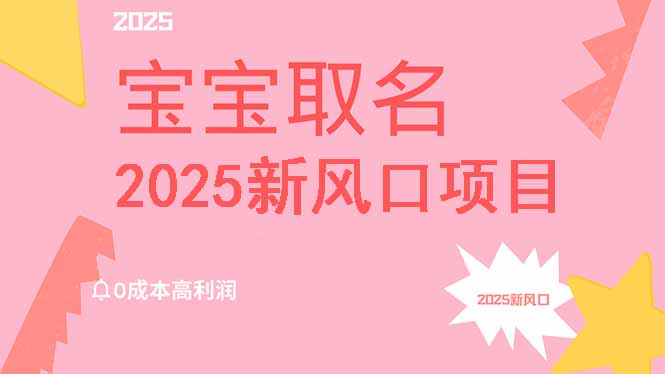 2025新风口项目宝宝取名，0成本高利润，附保姆级教程，月入过万不是梦-微氪项目圈