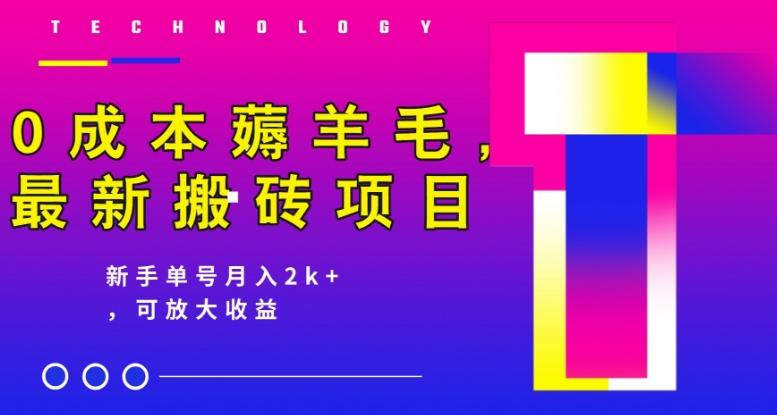 0成本薅羊毛，最新搬砖项目，新手单号月入2k+，可放大操作-微氪项目圈