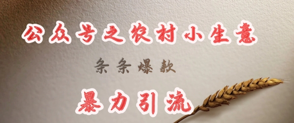 deepseek写农村小项目，条条爆款，暴力引流-微氪项目圈
