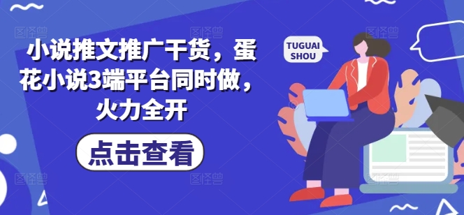 小说推文推广干货，蛋花小说3端平台同时做，火力全开-微氪项目圈