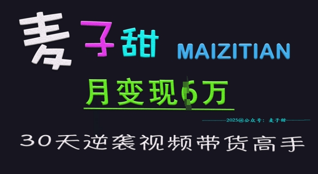 麦子甜30天逆袭视频带货高手，单月变现6W加特训营-微氪项目圈