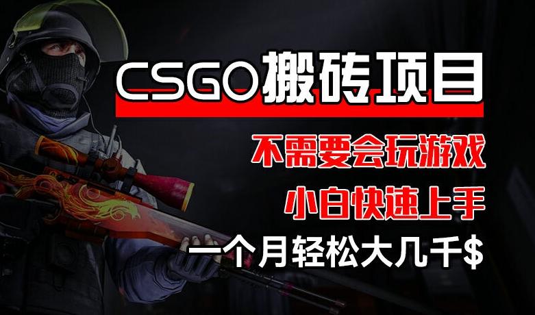 CSGO 装备搬砖项目，操作简单，不需要会玩游戏，小白也能快速上手，一个月轻松大几千【揭秘】-微氪项目圈