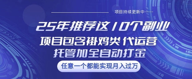 25年推荐这10个副业项目包含褂鸡类、代运营托管类、全自动打金类【揭秘】-微氪项目圈