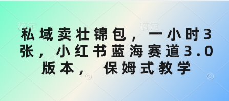 私域卖壮锦包，一小时3张，小红书蓝海赛道3.0版本， 保姆式教学-微氪项目圈