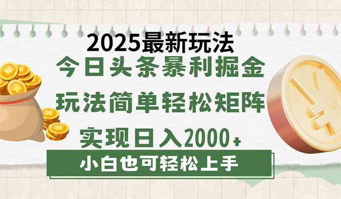 今日头条2025最新玩法，思路简单，复制粘贴，轻松实现矩阵日入2000+-微氪项目圈