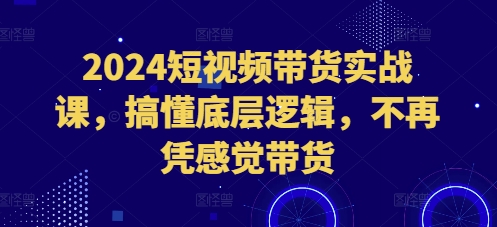 2024短视频带货实战课，搞懂底层逻辑，不再凭感觉带货-微氪项目圈