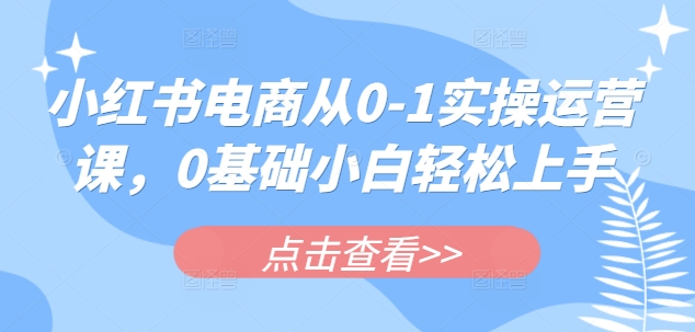 小红书电商从0-1实操运营课，0基础小白轻松上手-微氪项目圈
