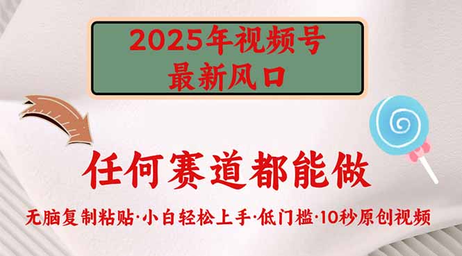 2025年视频号新风口，低门槛只需要无脑执行-微氪项目圈