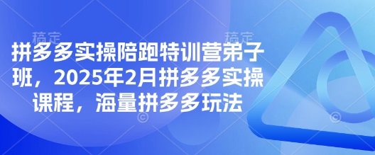 拼多多实操陪跑特训营弟子班，2025年2月拼多多实操课程，海量拼多多玩法-微氪项目圈
