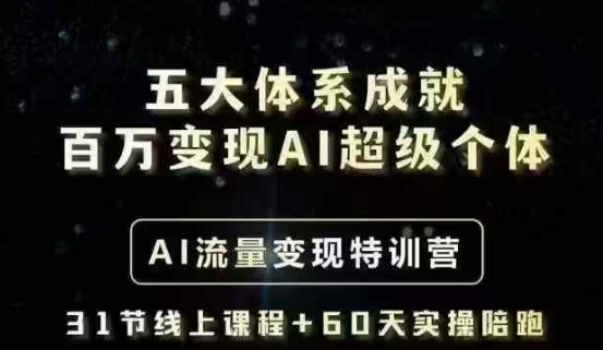 五大体系成就百万变现AI超级个体- AI流量变现特训营，一步一步教你一个人怎么年入百W-微氪项目圈