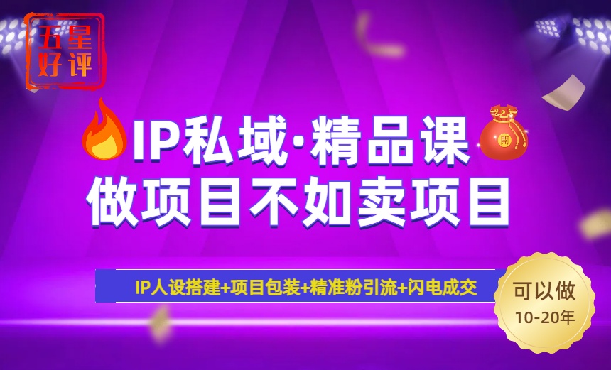2025年“IP私域·密训精品课”，日赚3000+小白避坑年赚百万，暴力引流…-微氪项目圈