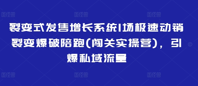 裂变式发售增长系统1场极速动销裂变爆破陪跑(闯关实操营)，引爆私域流量-微氪项目圈